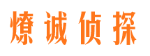 清流市侦探调查公司